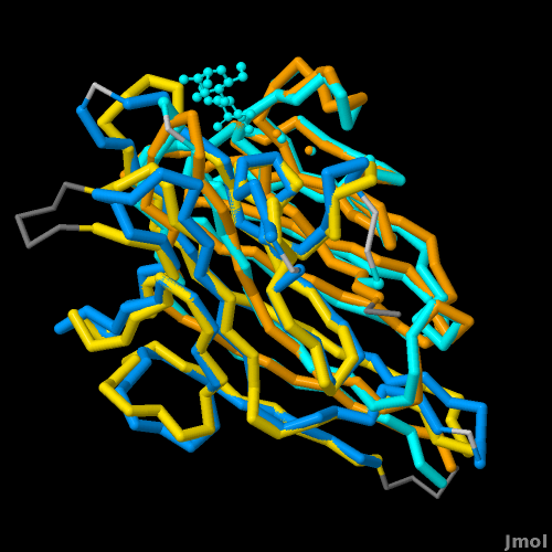 Concanavalin A (yellow & orange) aligned with Pea Leptin (blue and
cyan)